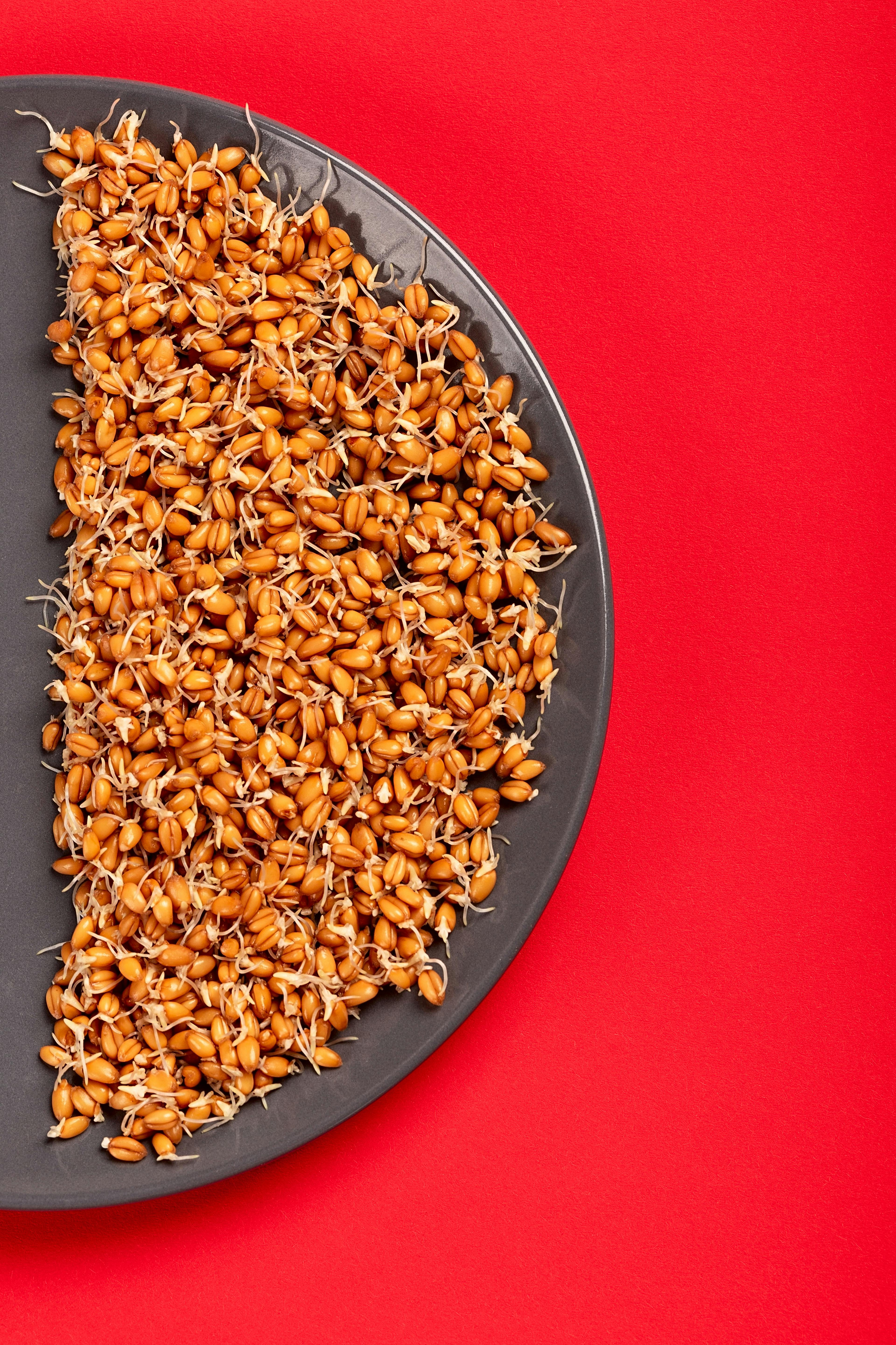 How to Properly Follow a Coffee Diet Recipe for Better Results