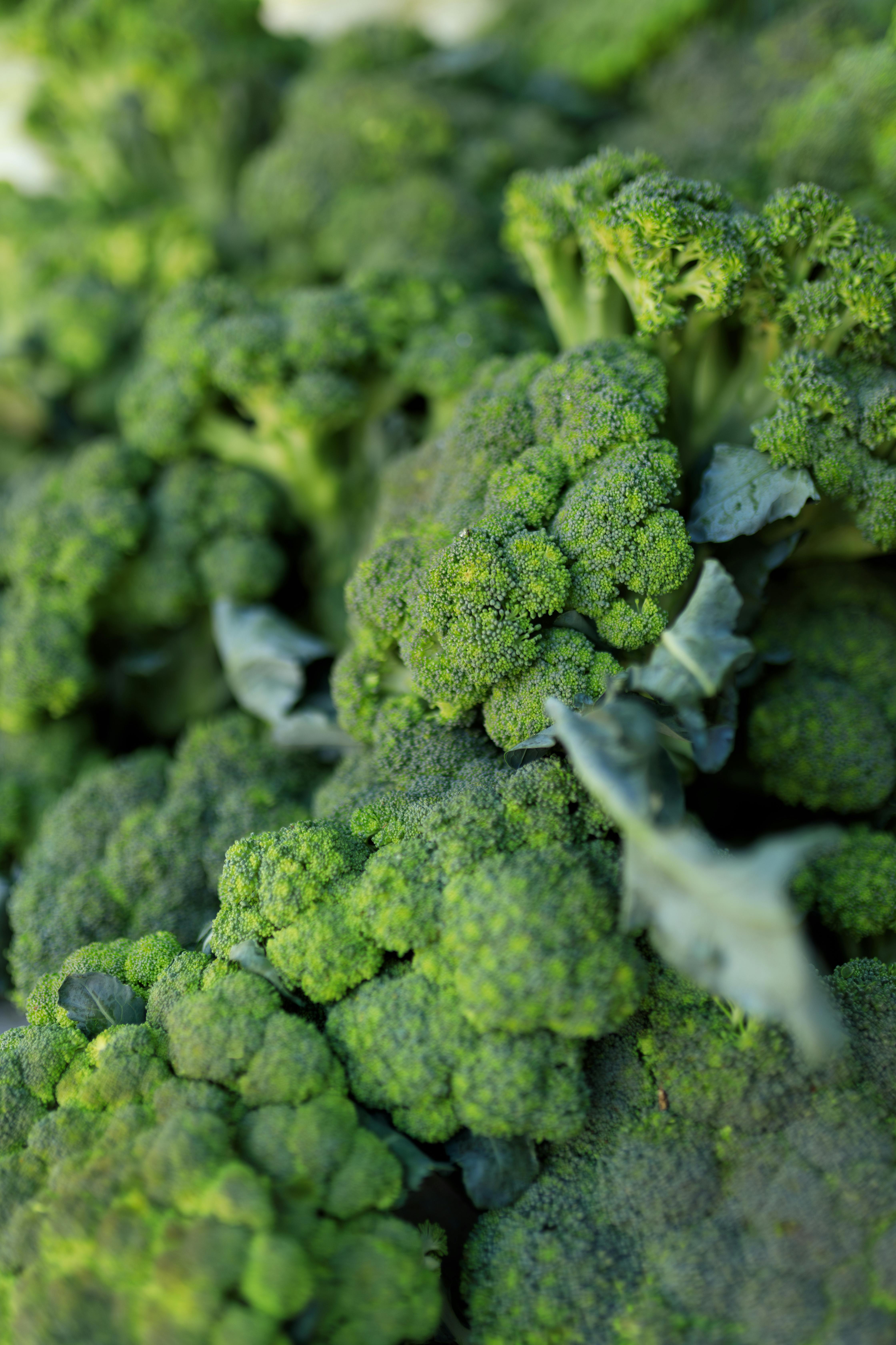 Effective Methods for Optimizing Your Low Residue Diet Before Colonoscopy 2025
