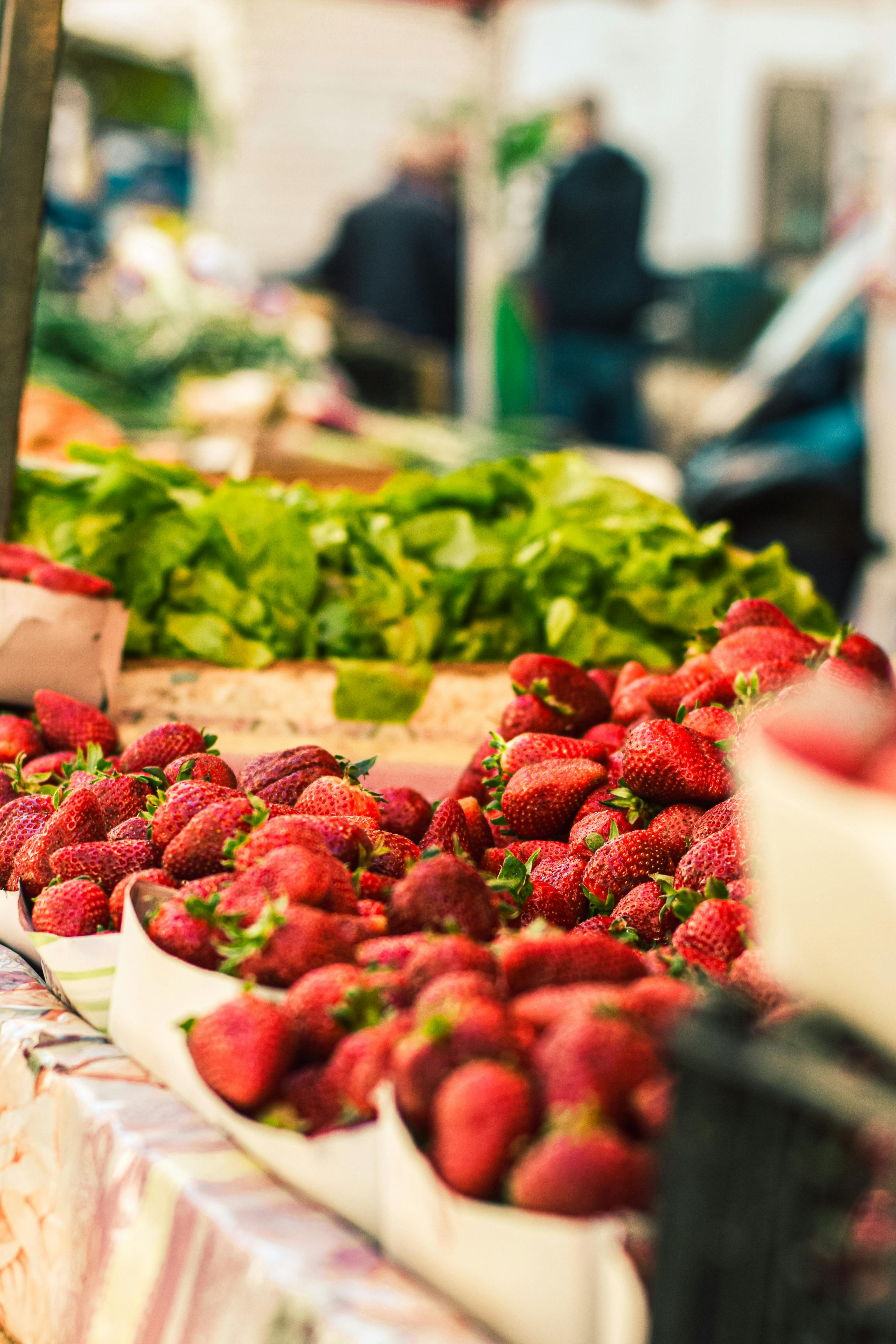 Effective Methods for Improving Your Ketovore Diet in 2025