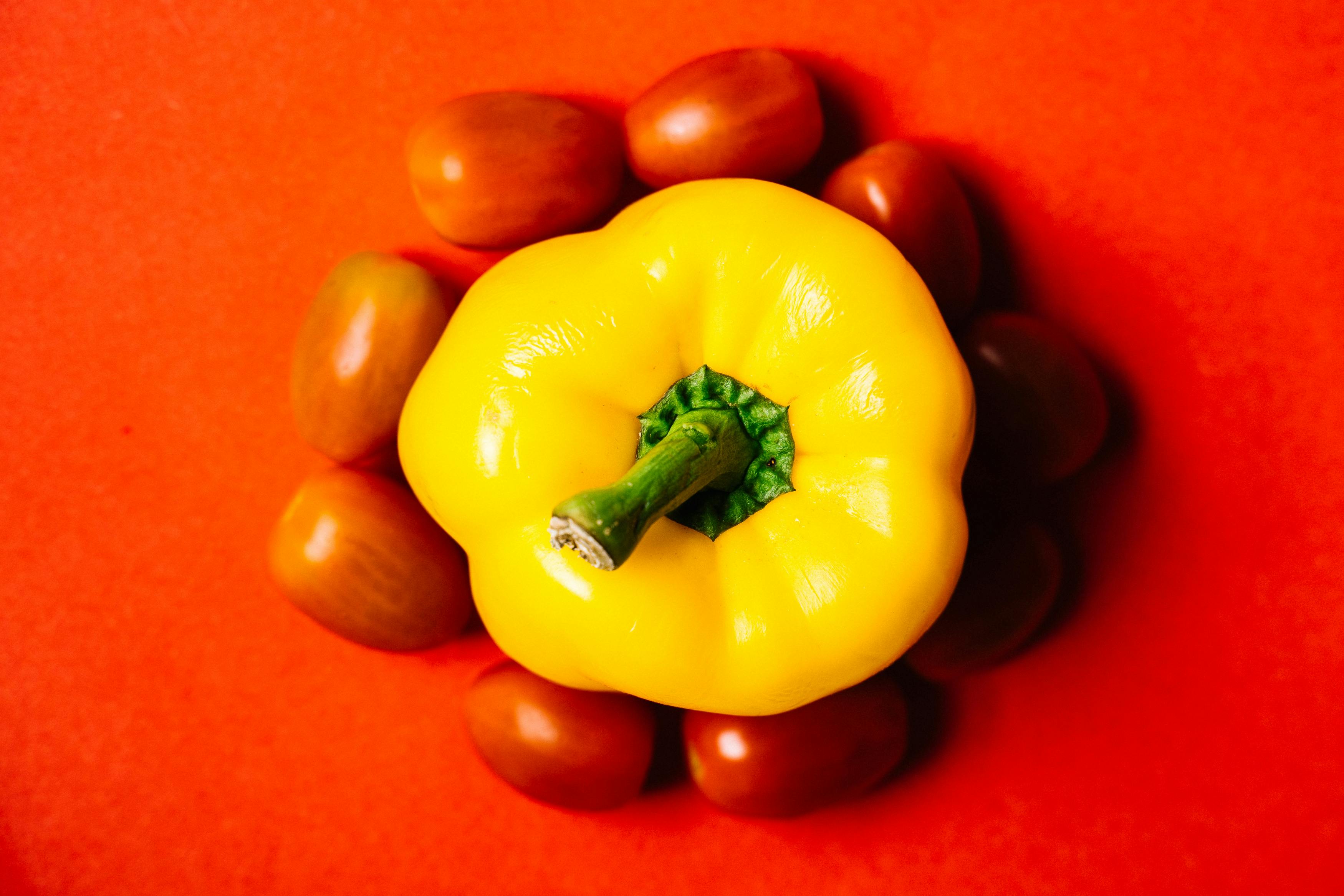 Smart Ways to Manage Dog Pancreatitis Diet in 2025