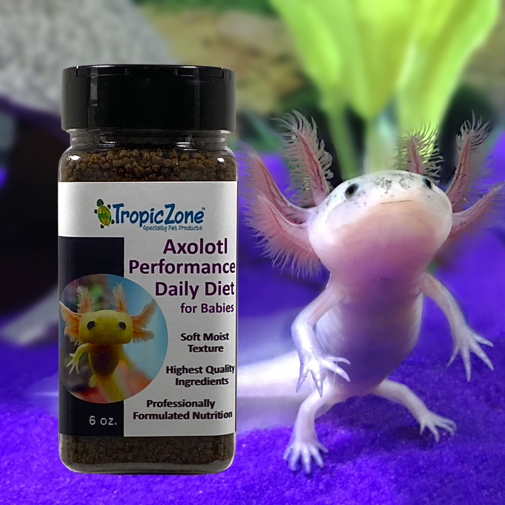 Essential Guide to Axolotl Diet: 5 Proven Ways to Improve Their Nutrition in 2025