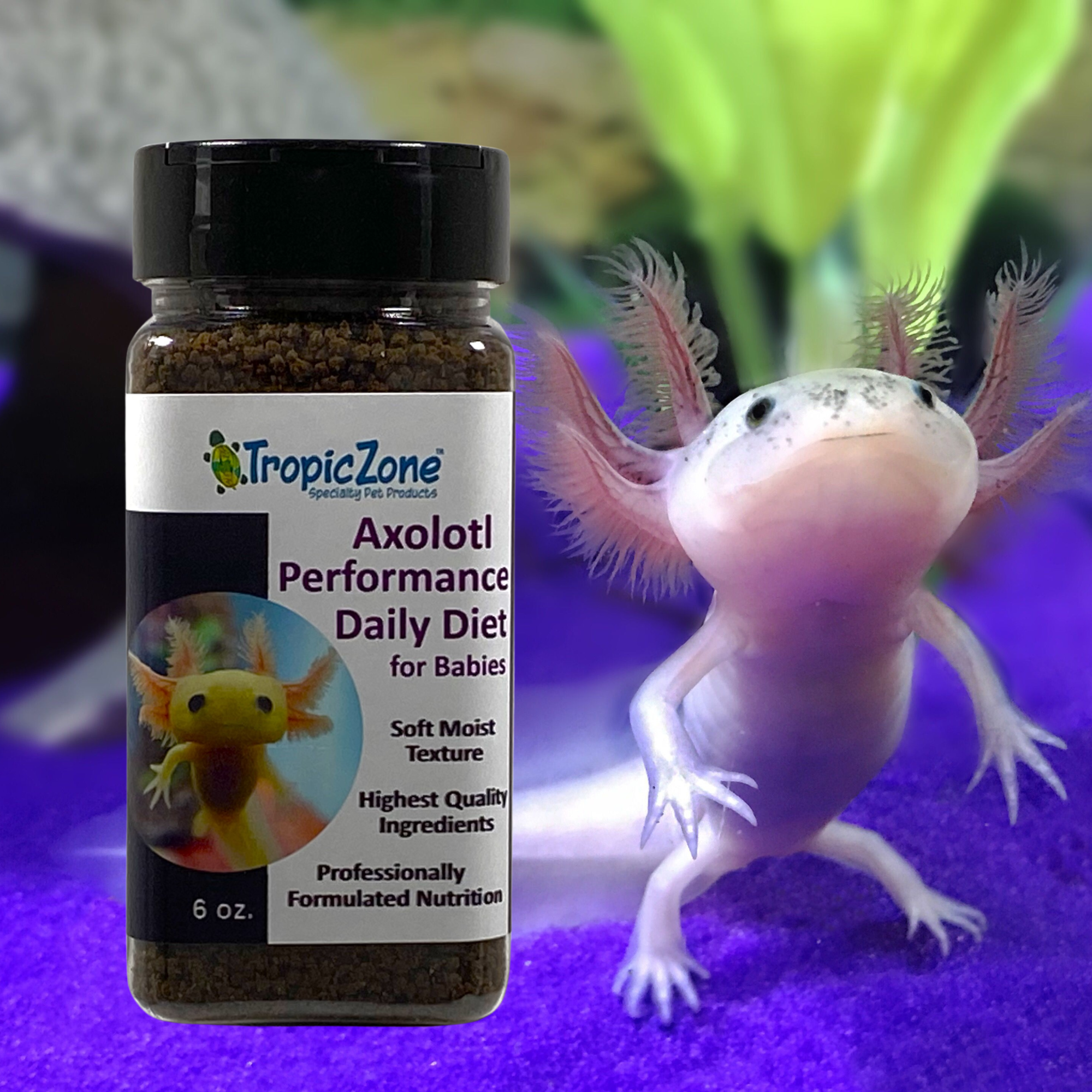 Foods for axolotls