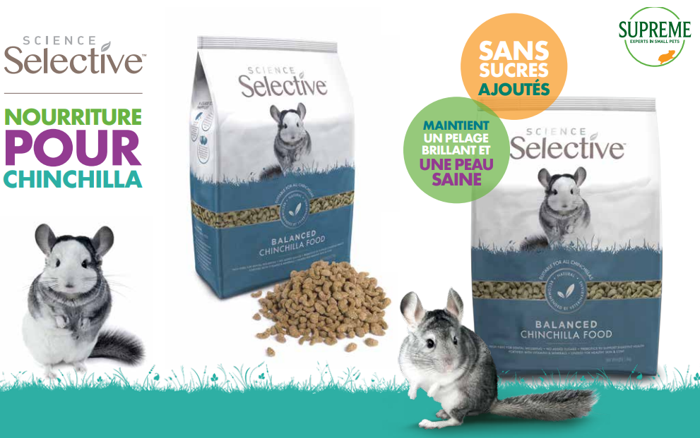 Practical Guide to a Low Iodine Diet for Your Chinchilla in 2025: Discover Smart Choices!