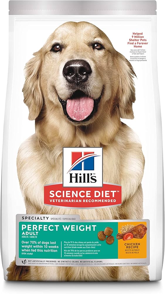 Effective Ways to Optimize Your Pet’s Health with Hill’s Science Diet Perfect Weight in 2025