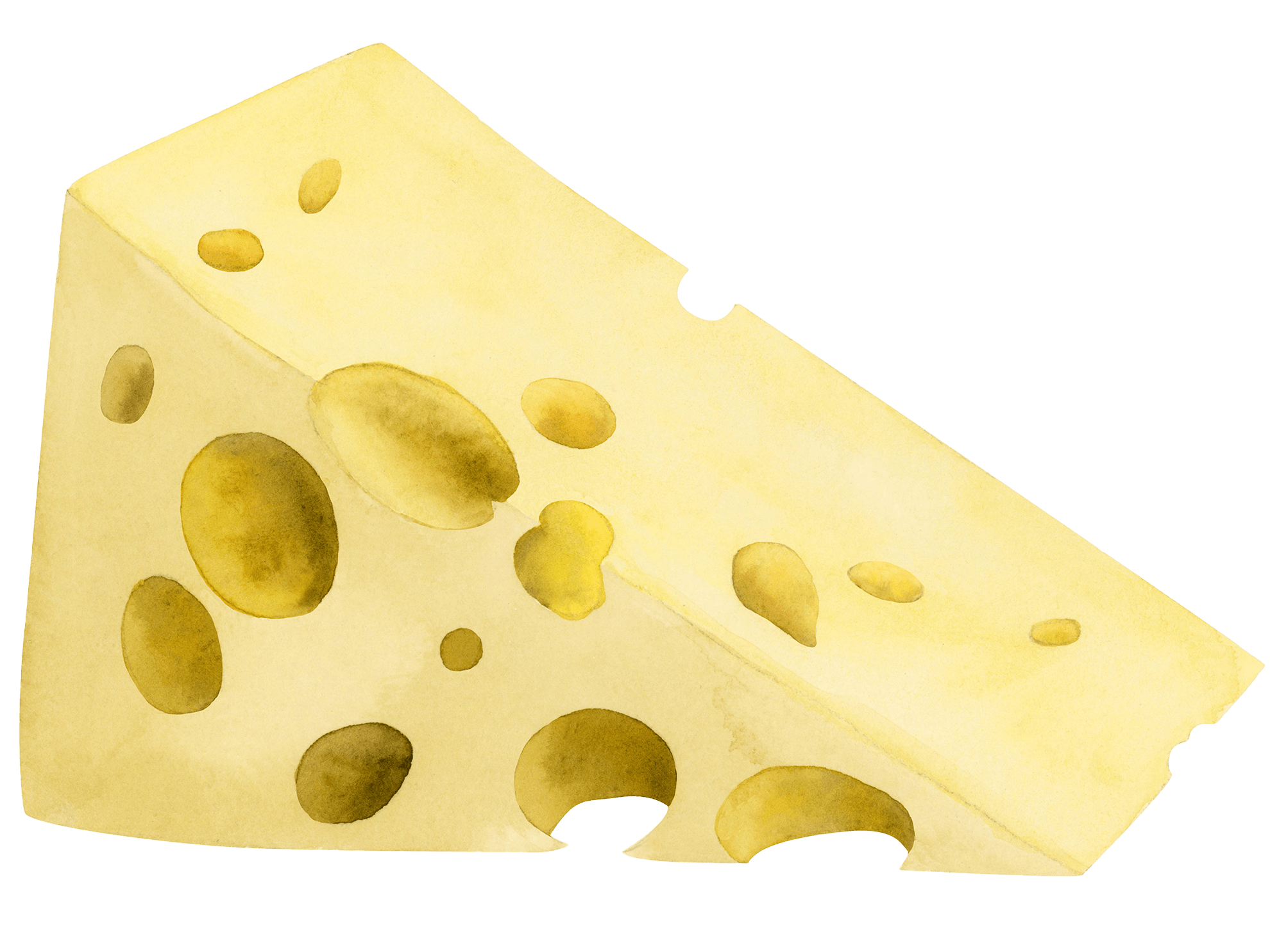 Best 5 Cheese Options for the Carnivore Diet in 2025: Improve Your Meal Variety