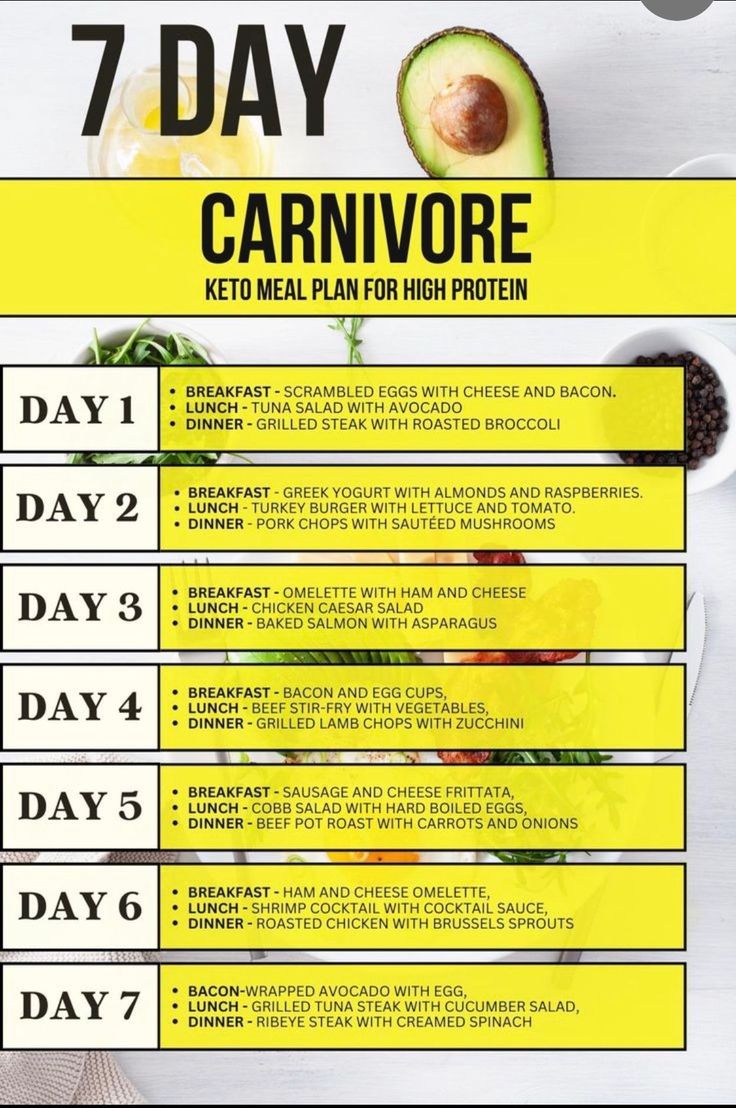 Carnivore Diet Recipes