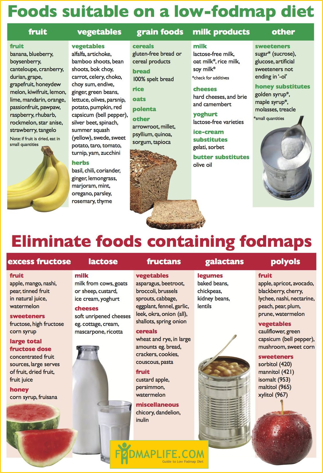 Understanding Low FODMAP Foods