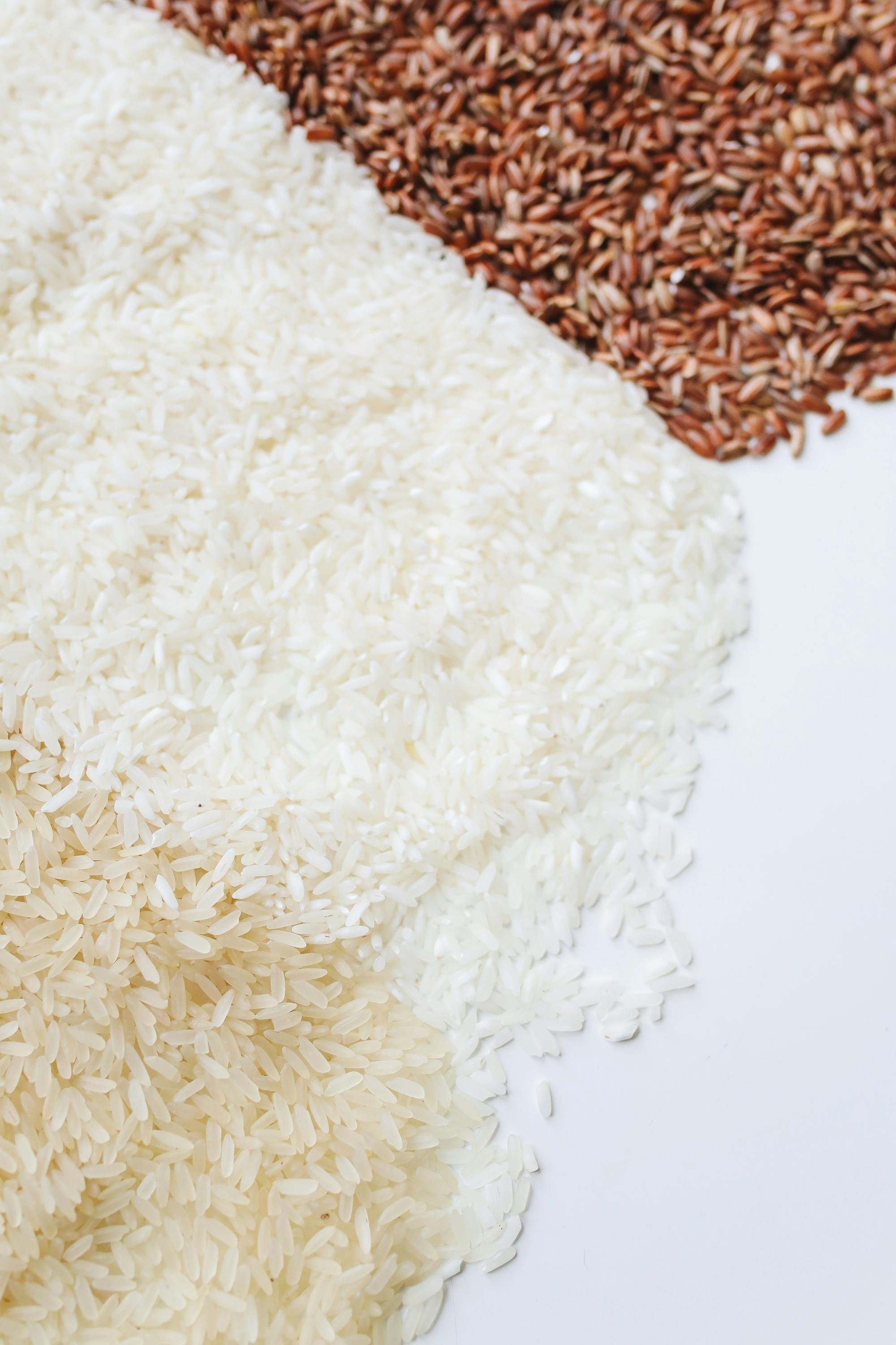 Rice Diet Overview